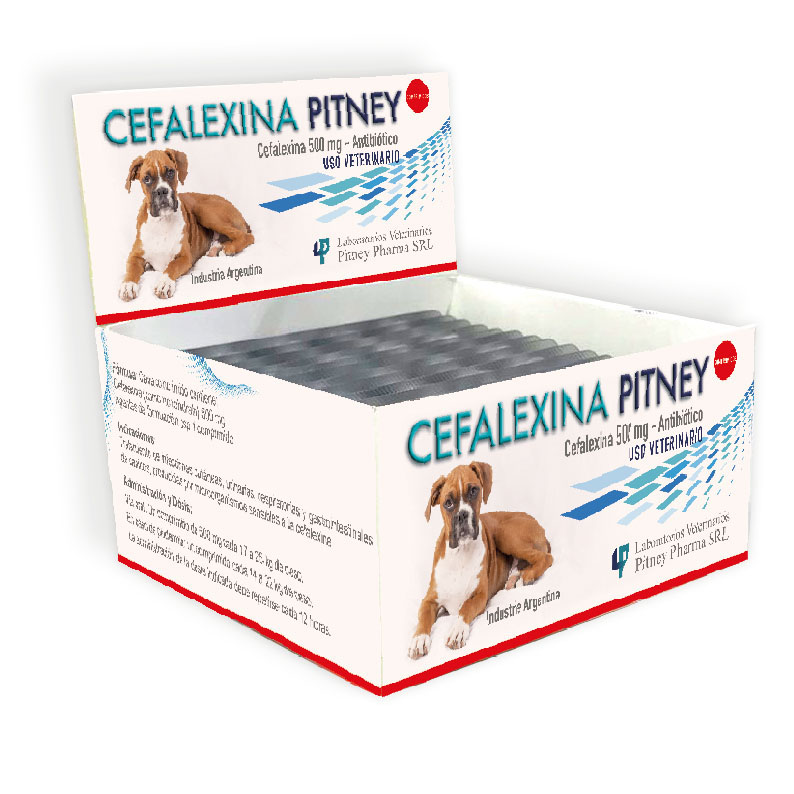 Cafalexina Pitney Pharma